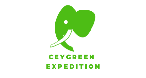 CeyGreen logo